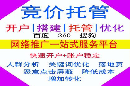 网络推广秘籍：竞价排名成功案例集锦